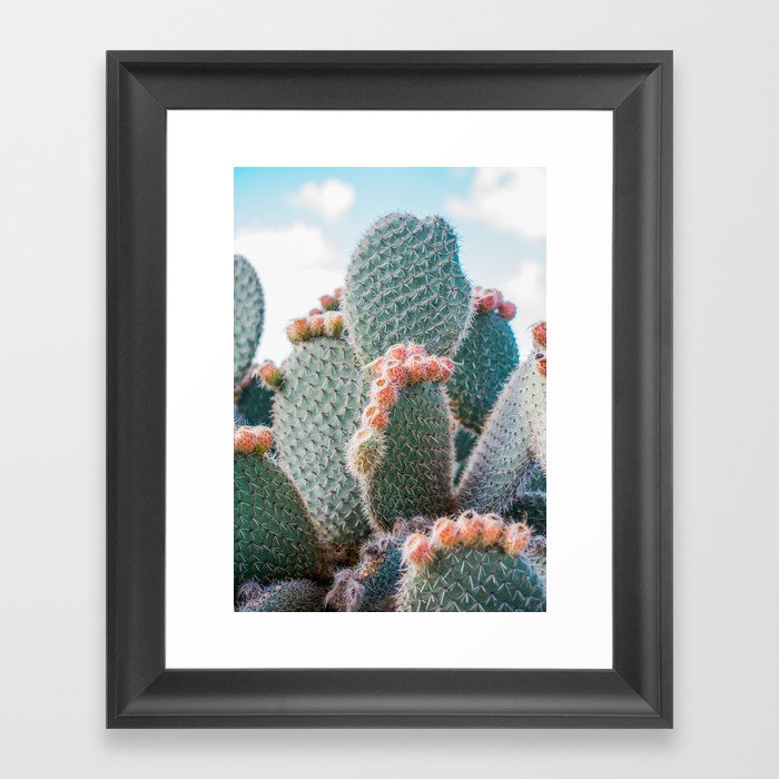 Cactus Framed Art Print