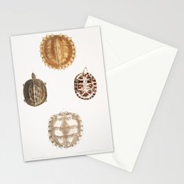 Spinose Terrapin & Amborna Box Tortoise Stationery Card