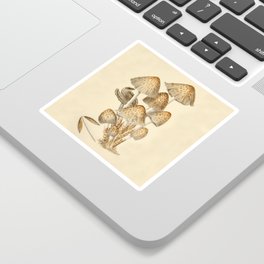 Inky Cap Mushrooms Sticker