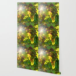 Winery Wallpaper For Any Decor Style Society6