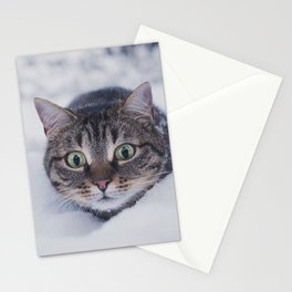 cat pet funny glance snow winter Stationery Card