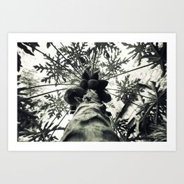 Tree Art Print | Photo, Nature, Digital 