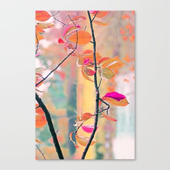 New Autumn Colours Canvas Print