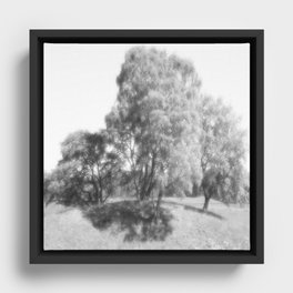 We Three Trees of the Scottish Highlands a Different Perspective  Framed Canvas