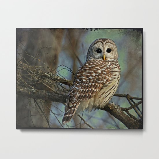 Woodland Goddess Metal Print