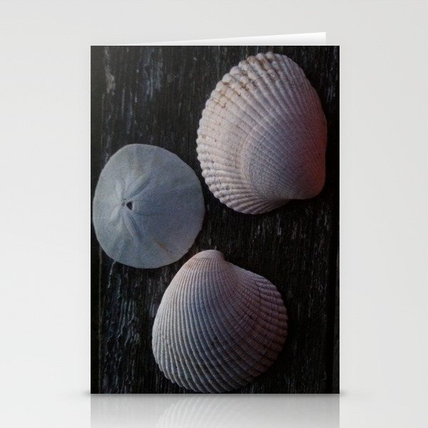 Sea Shells in Morning Light Stationery Cards