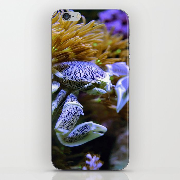 fish iPhone Skin