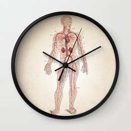 Circulatory System Human Anatomy Art Print Wall Clock