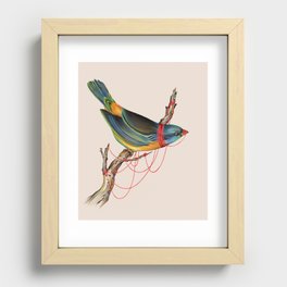 The Birdcage Recessed Framed Print