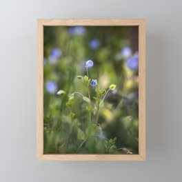Veronica Macro Flower Meadow Framed Mini Art Print