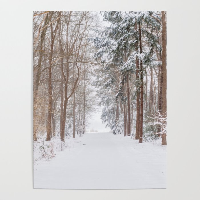 County road covered in snow | Winter snow landscape in the Netherlands 2021 | Landscape Photography Poster