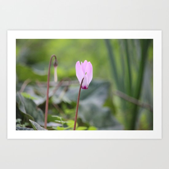 Flourishing Art Print