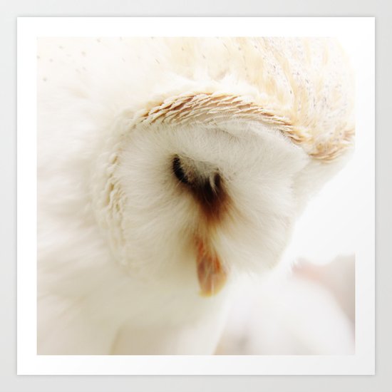 Preying Art Print