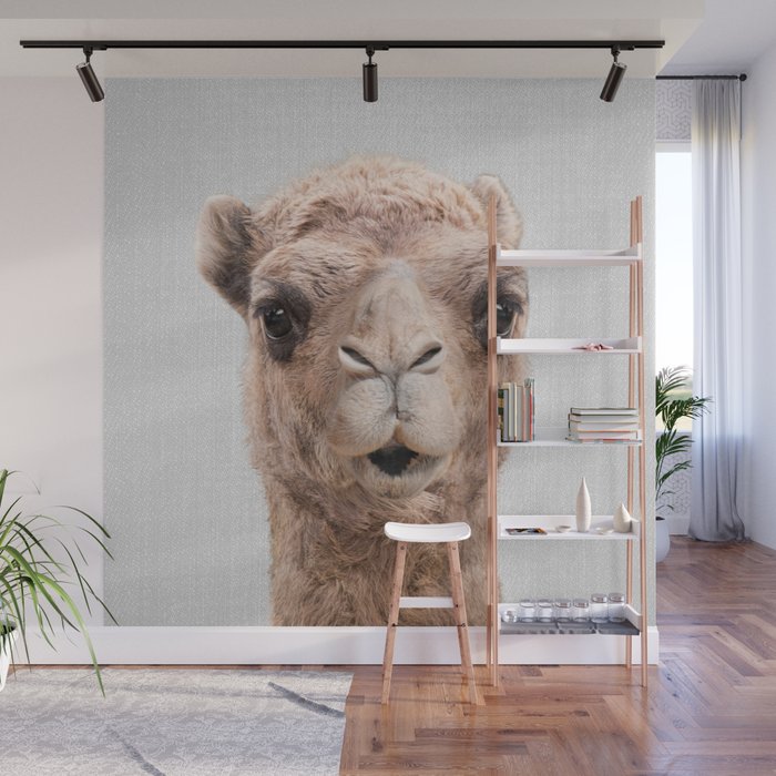 Camel - Colorful Wall Mural
