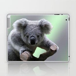 Koala Bear Laptop Skin