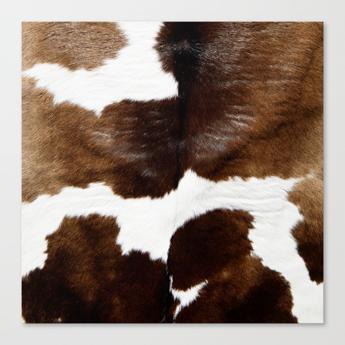 Brown Cowhide Canvas Print - Unique Wall Art
