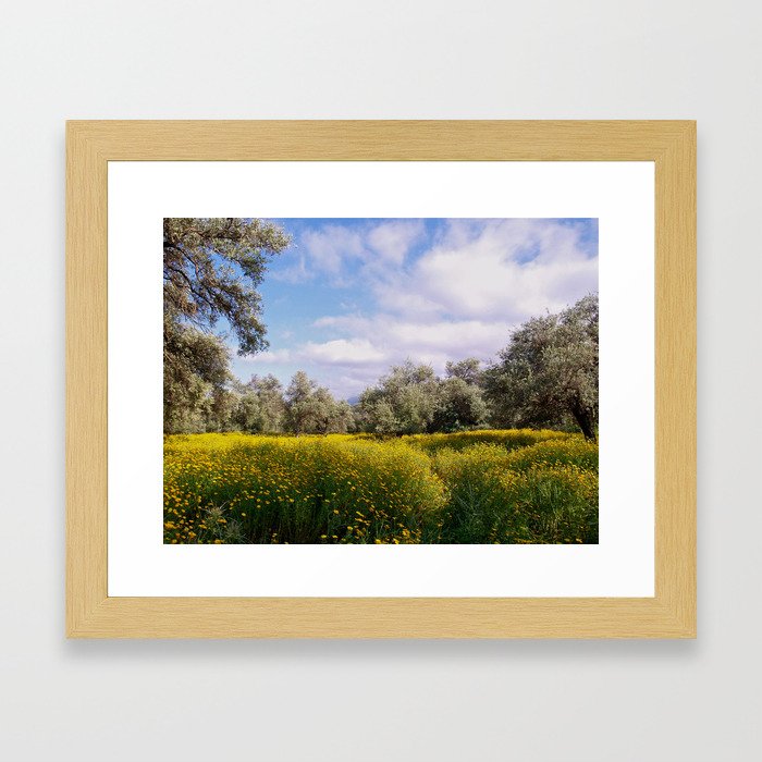 Spring Meadow in Cyprus Framed Art Print