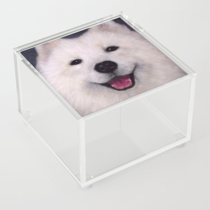 Cute Samoyed dog wool portrait Acrylic Box