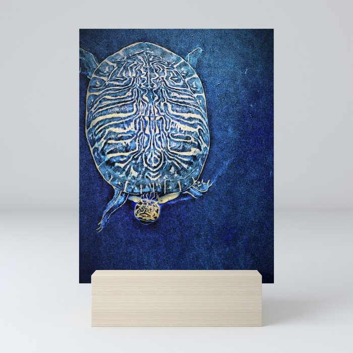 The Wisdom of the Sea Turtle Mini Art Print