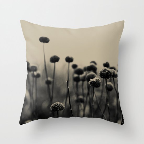 Field of Dreams Throw Pillow