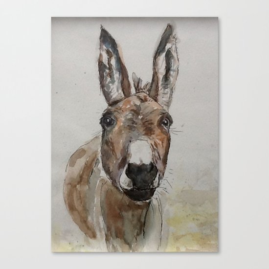 Donkey Canvas Print by deborahthezebra Society6