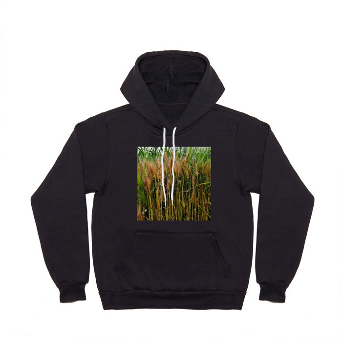 Summer wheat field in the countryside Hoody