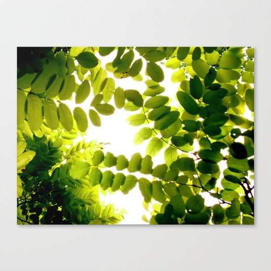 Let There Be Light Canvas Print