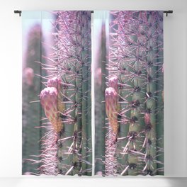 Prickly in Pink II Blackout Curtain