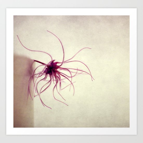spider Art Print