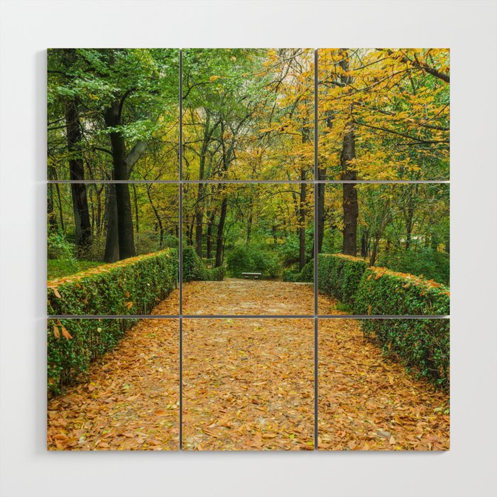 Spain Photography - Beautiful Park In The Forest Wood Wall Art