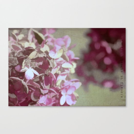 Hydrangeas No. 4 Canvas Print