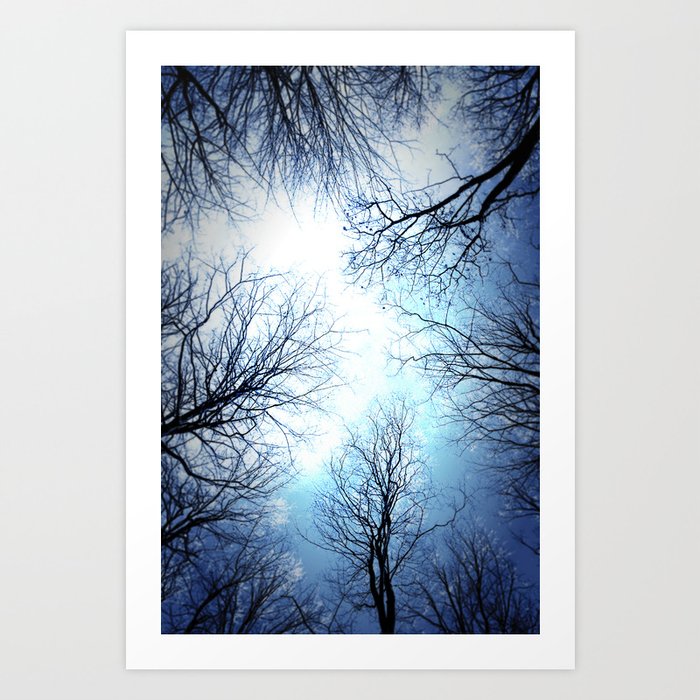 Black Trees Blue sky Art Print
