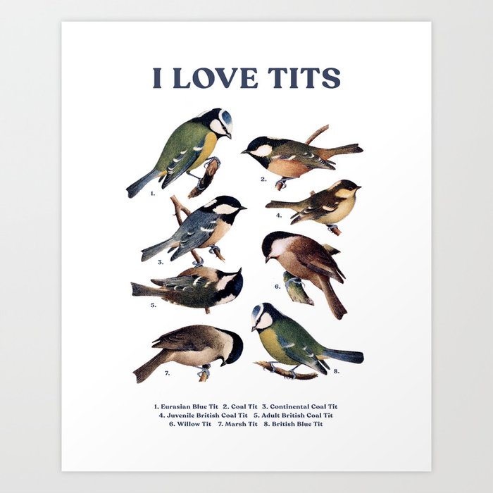 Nice Tits (Bird Print) Art Print by finchnfernstudios
