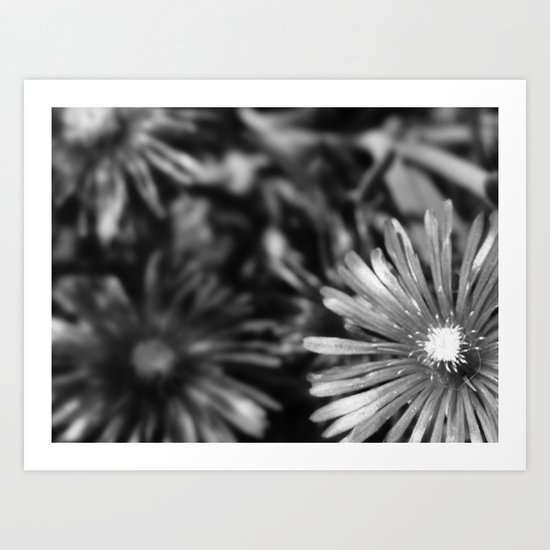 Flower in black Art Print