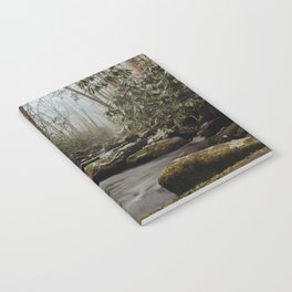 Great Smoky Mountains National Park - Porter's Creek Notebook