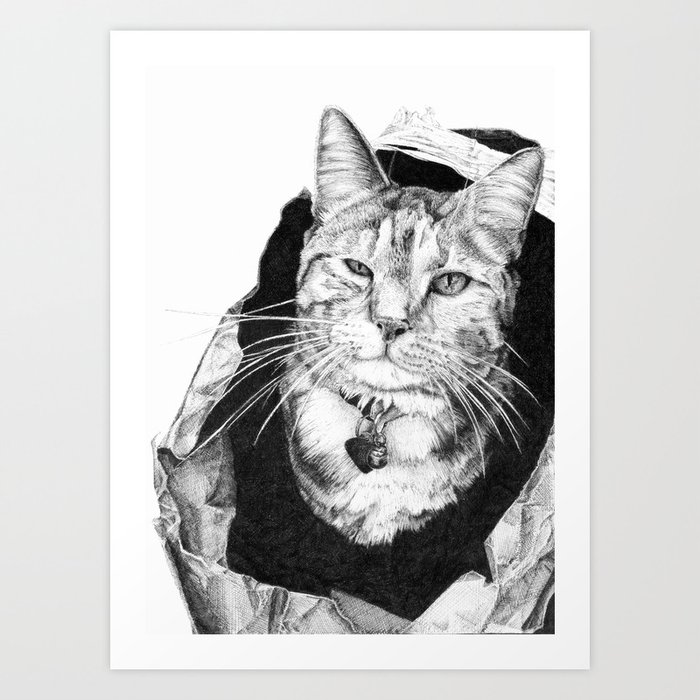 Cat in the Bag Art Print