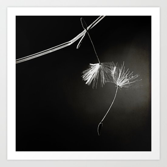 the catch Art Print