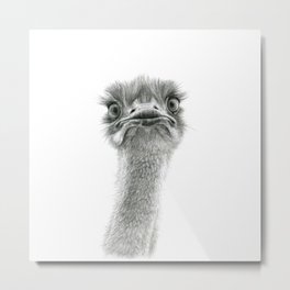 Cute Ostrich SK053 Metal Print