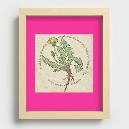 Dandelion Recessed Framed Print
