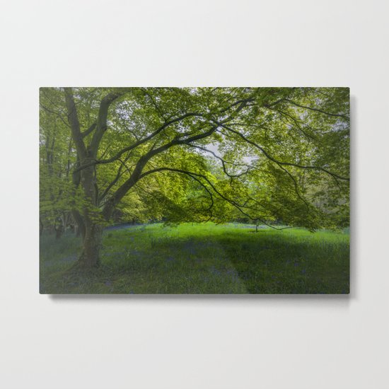 Bluebell Meadow Metal Print
