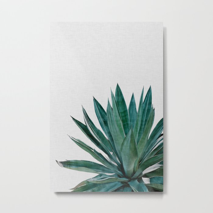 Agave Cactus Metal Print