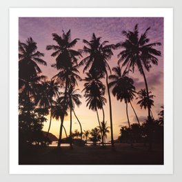 Palm trees on the Seychelles Art Print