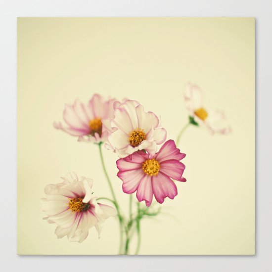 Summer Flowers Canvas Print