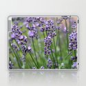 Sweet Purple Iris Laptop Amp Ipad Skin By Judy Palkimas