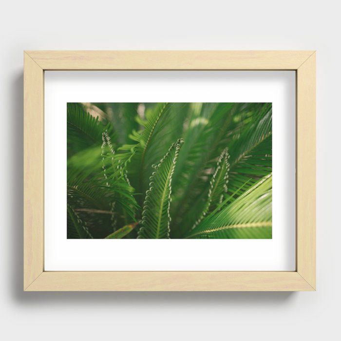 fern composition no. 1 Recessed Framed Print