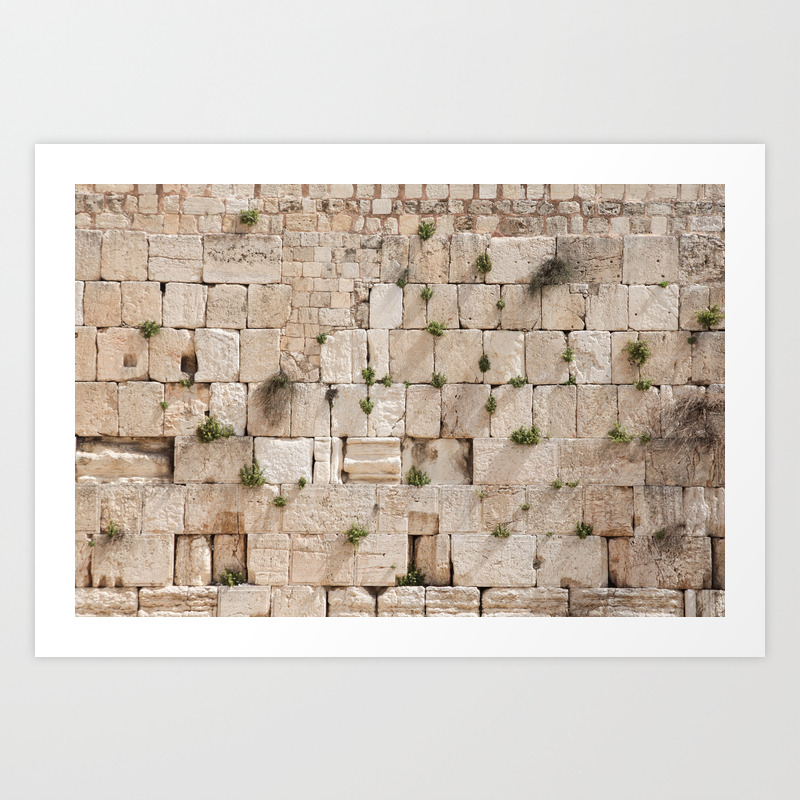 Vegetation On The Wailing Wall Kotel Kotel Art Wall Fine Art