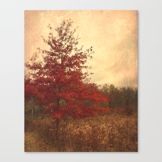 Red Oak Canvas Print