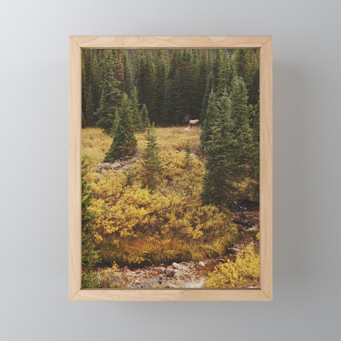 Rocky Mountain Creek Elk Framed Mini Art Print