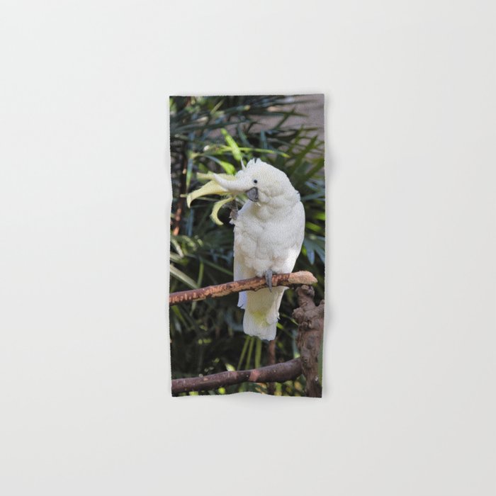 Sulfur-Crested Cockatoo Salutes the Photographer Hand & Bath Towel
