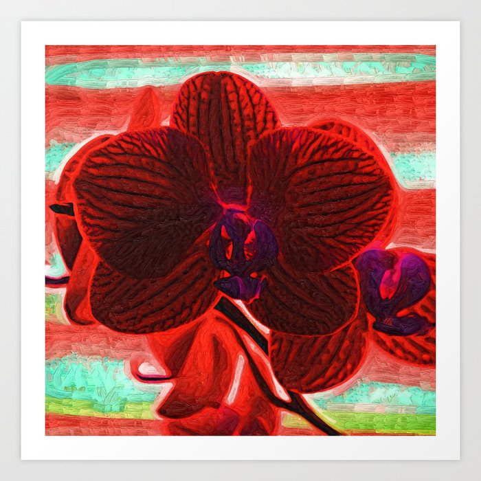 Blood Red Orchid Art Print By Kirttisdaleart Society6